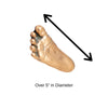3D Hand / 3D Foot Castings--Price Per Casting