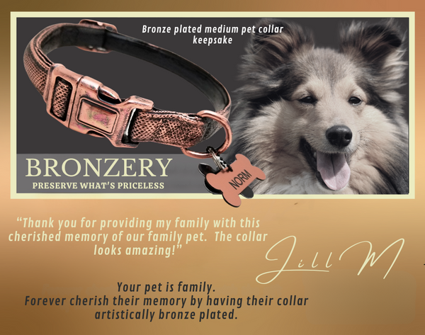 Digital Gift Voucher: Pet Collar-Medium-Artistically Bronze Plated Keepsake