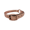 Pet Collar-Small-Cat, Chihuahua