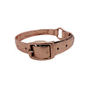 Pet Collar-Medium -Sheltie, Maltese
